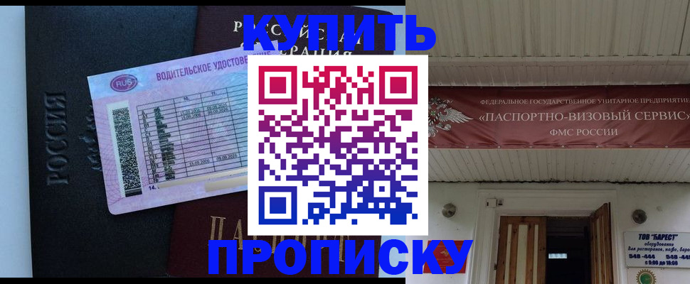 временная регистрация поиск в Луге